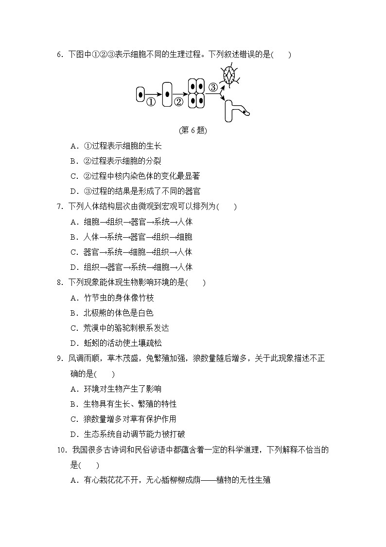人教版中考生物一轮复习--阶段测试卷一 (生物体的结构层次+生物与环境+植物的生活)第2页