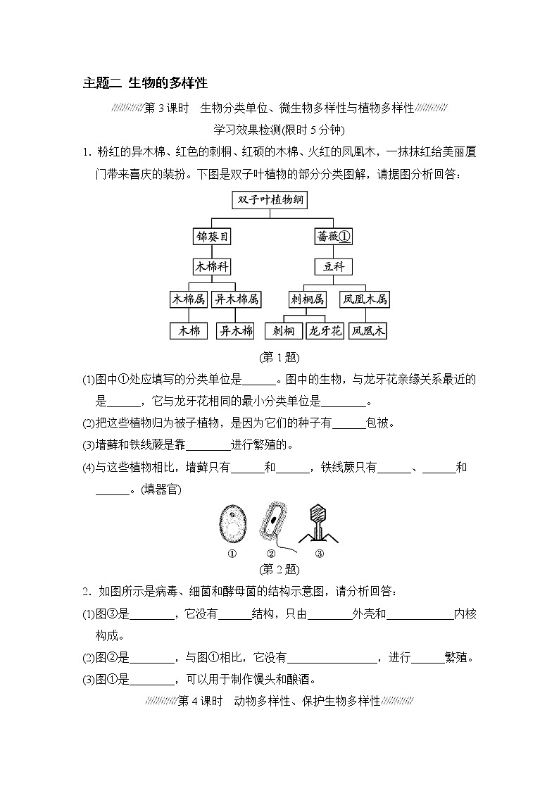 人教版中考生物一轮复习--主题二  生物的多样性（测试）第1页