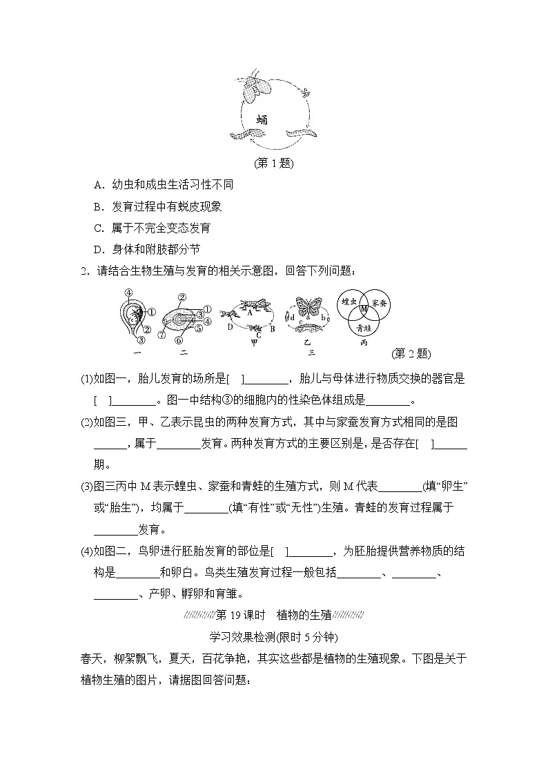 人教版中考生物一轮复习--主题六 遗传与进化（测试）第2页
