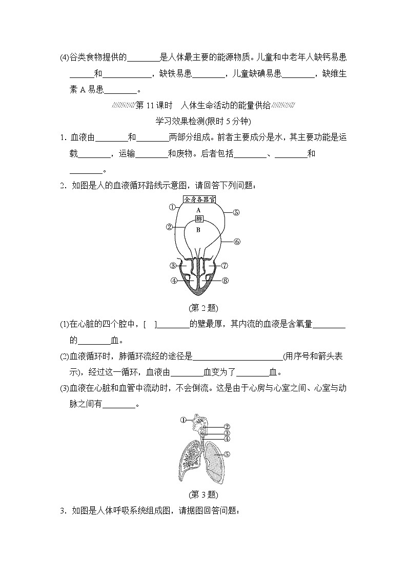 人教版中考生物一轮复习--主题五 人体生理与健康（测试）第2页