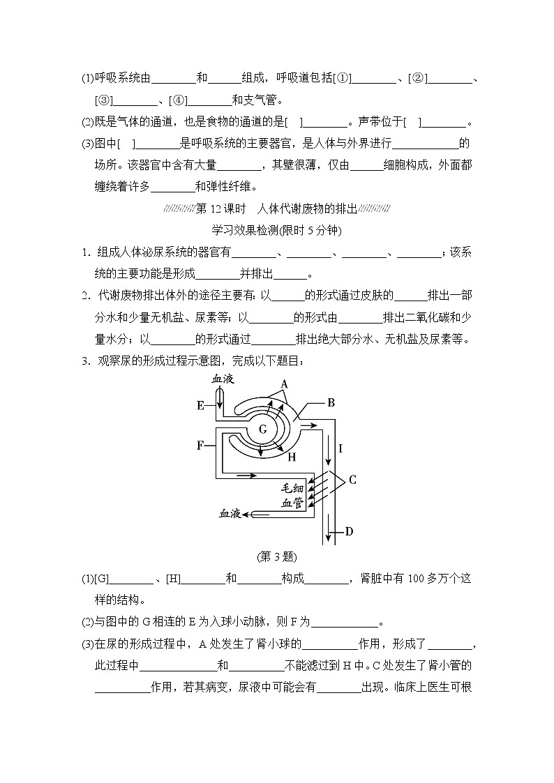 人教版中考生物一轮复习--主题五 人体生理与健康（测试）第3页