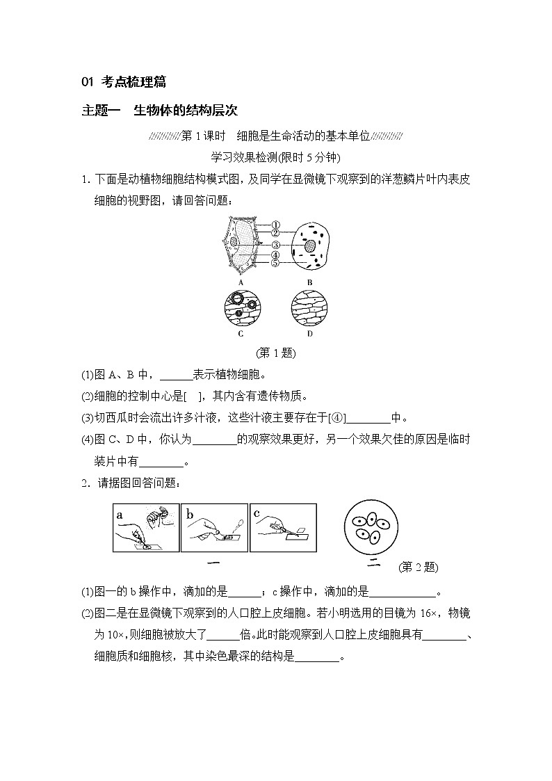 人教版中考生物一轮复习--主题一  生物体的结构层次（测试）第1页