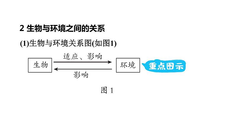 人教版中考生物一轮复习--第6课时　生物与环境（复习课件）05