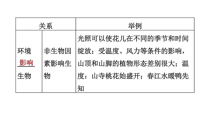 人教版中考生物一轮复习--第6课时　生物与环境（复习课件）07