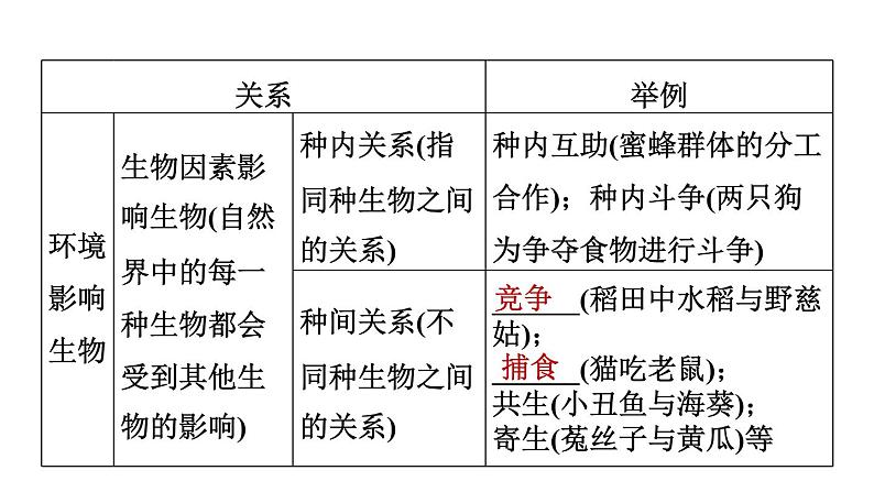 人教版中考生物一轮复习--第6课时　生物与环境（复习课件）08