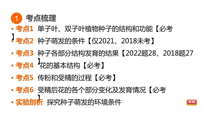 人教版中考生物一轮复习--第7课时　绿色开花植物的一生（复习课件）第3页