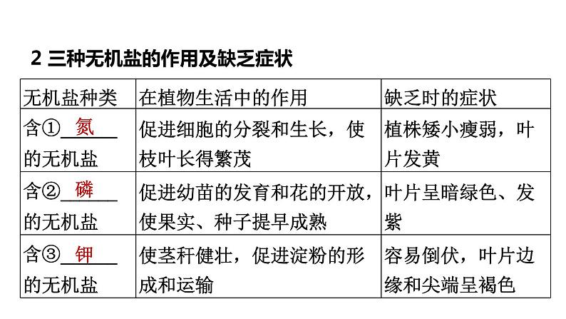 人教版中考生物一轮复习--第8课时　绿色植物的生活需要水和无机盐（复习课件）第7页