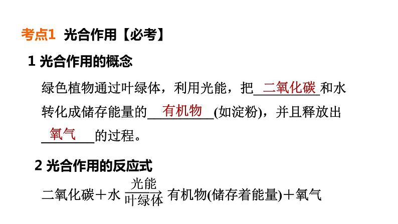 人教版中考生物一轮复习--第9课时　绿色植物的光合作用和呼吸作用绿色植物对生物圈有重大作用（复习课件）第4页