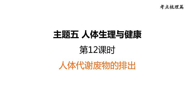 人教版中考生物一轮复习--第12课时　人体代谢废物的排出（复习课件）第1页