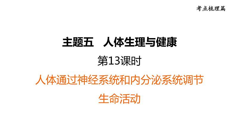 人教版中考生物一轮复习--第13课时　人体通过神经系统和内分泌系统调节生命活动（复习课件）第1页