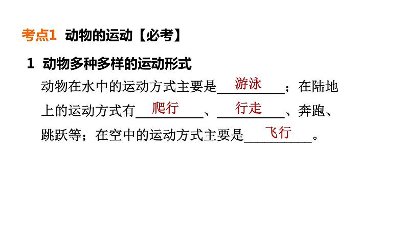 人教版中考生物一轮复习--第14课时　动物的运动和行为（复习课件）第4页