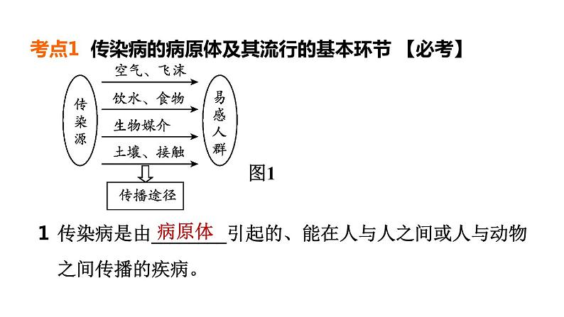 人教版中考生物一轮复习--第15课时　传染病和免疫（复习课件）第4页