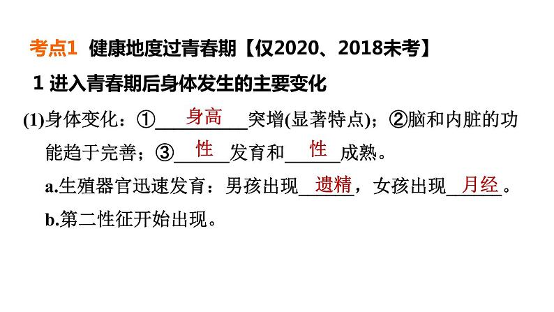 人教版中考生物一轮复习--第16课时　健康地度过青春期、选择健康的生活方式、医药常识（复习课件）第4页