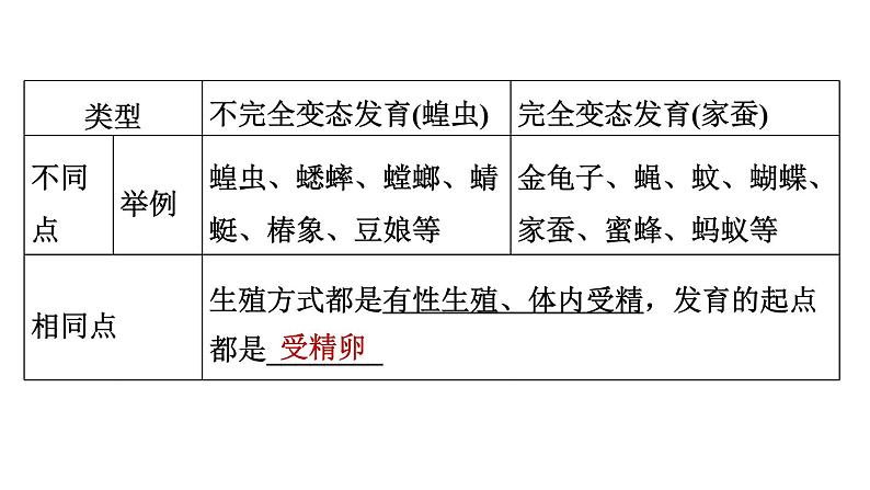 人教版中考生物一轮复习--第18课时　动物的生殖和发育（复习课件）06