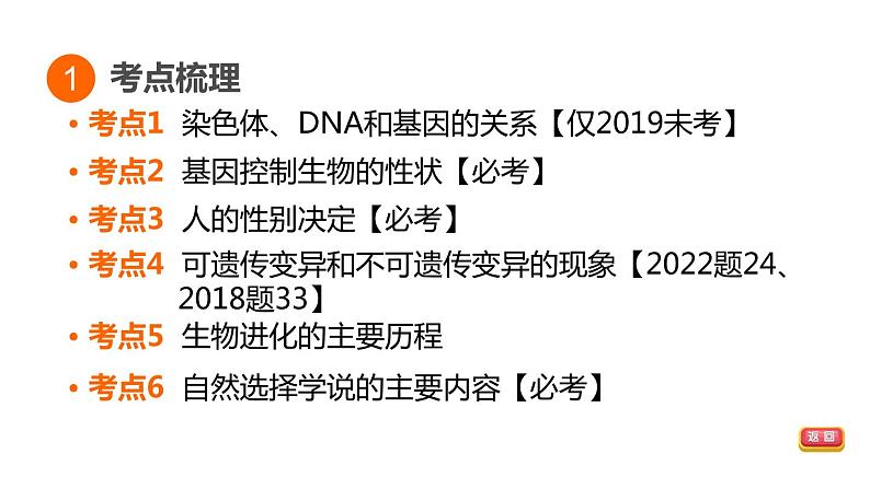 人教版中考生物一轮复习--第20课时　生物的遗传、变异与进化（复习课件）第3页