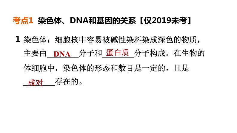 人教版中考生物一轮复习--第20课时　生物的遗传、变异与进化（复习课件）第4页