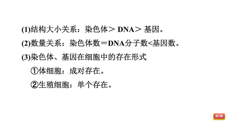 人教版中考生物一轮复习--第20课时　生物的遗传、变异与进化（复习课件）第7页