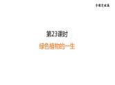 人教版中考生物一轮复习--第23课时　绿色植物的一生（复习课件）