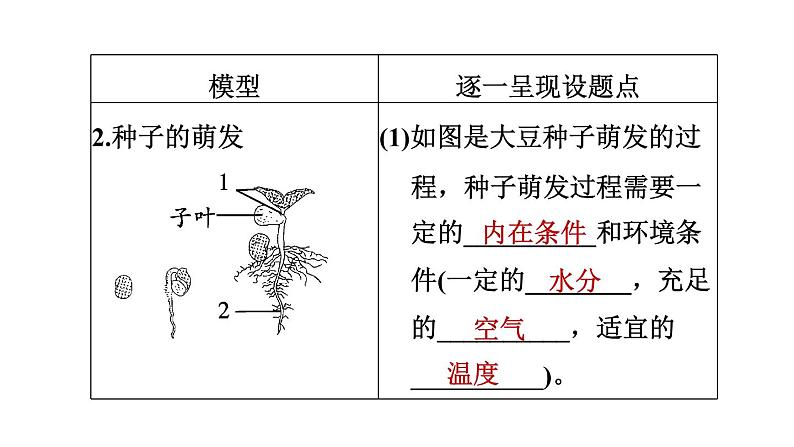 人教版中考生物一轮复习--第23课时　绿色植物的一生（复习课件）第6页