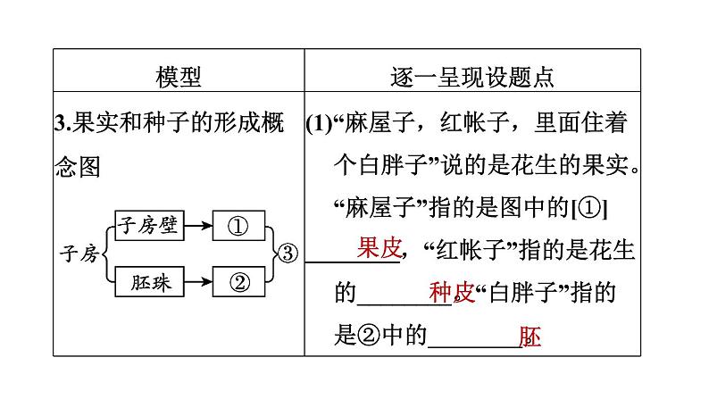 人教版中考生物一轮复习--第23课时　绿色植物的一生（复习课件）第8页