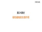 人教版中考生物一轮复习--第24课时　绿色植物的生理作用（复习课件）