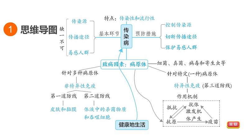 人教版中考生物一轮复习--第27课时　传染病和免疫（复习课件）第3页