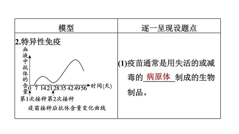 人教版中考生物一轮复习--第27课时　传染病和免疫（复习课件）第7页