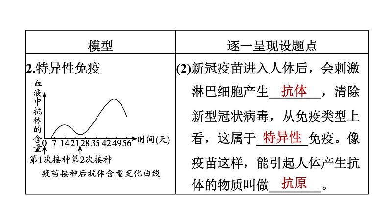 人教版中考生物一轮复习--第27课时　传染病和免疫（复习课件）第8页