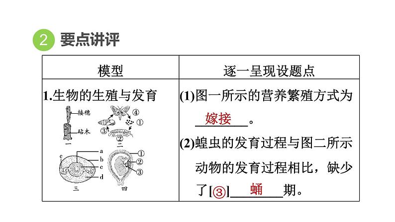 人教版中考生物一轮复习--第28课时　生物的多样性（复习课件）第4页