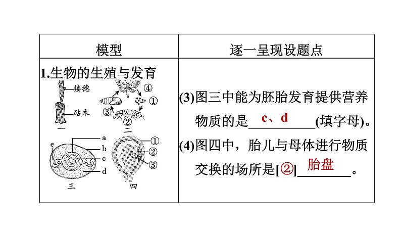 人教版中考生物一轮复习--第28课时　生物的多样性（复习课件）第5页