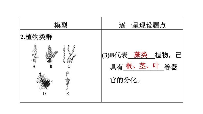 人教版中考生物一轮复习--第28课时　生物的多样性（复习课件）第8页