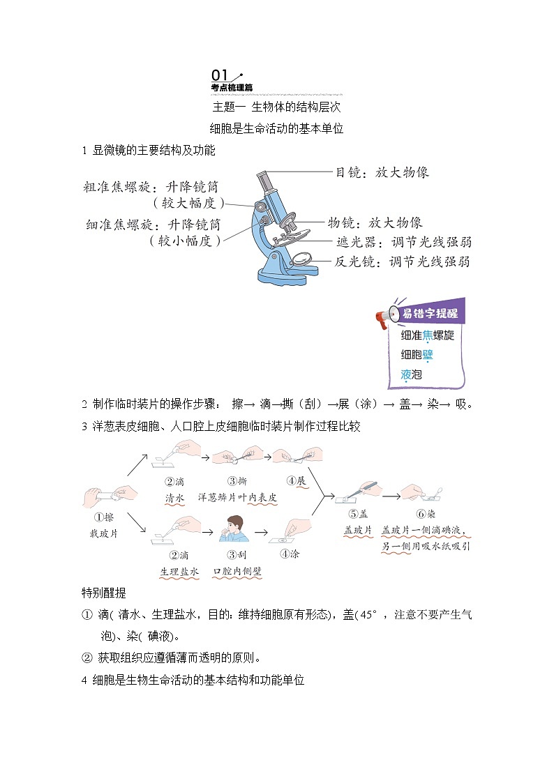人教版中考生物一轮复习--主题一  生物体的结构层次第1页