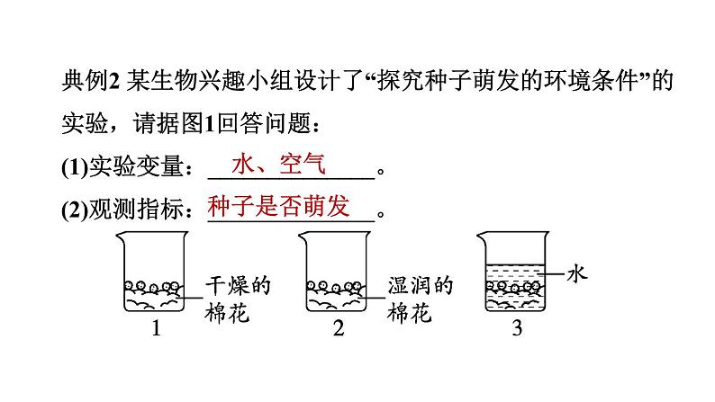 人教版中考生物一轮复习--第21课时　科学探究（复习课件）第7页