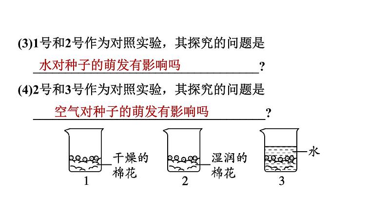 人教版中考生物一轮复习--第21课时　科学探究（复习课件）第8页