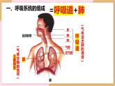 4.3.1呼吸道对空气的处理课件