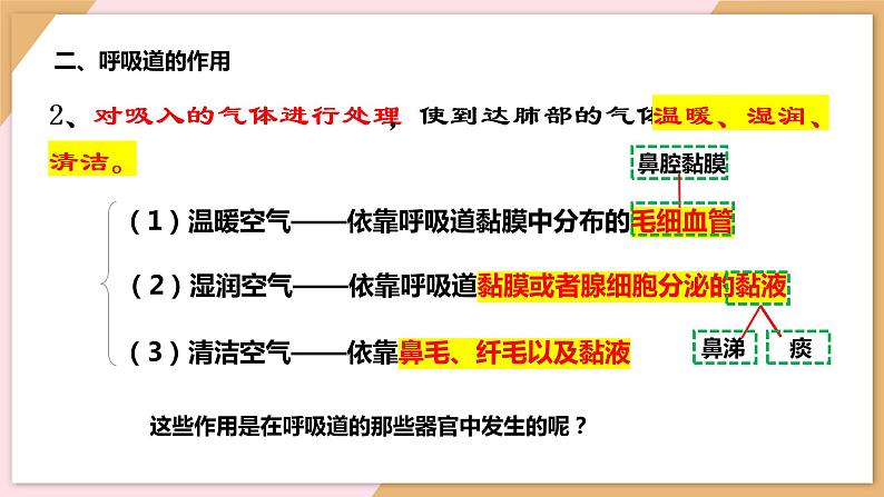 4.3.1呼吸道对空气的处理课件07