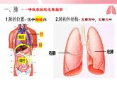 4.3.2发生在肺内的气体交换（第1课时）课件