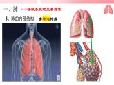4.3.2发生在肺内的气体交换（第1课时）课件