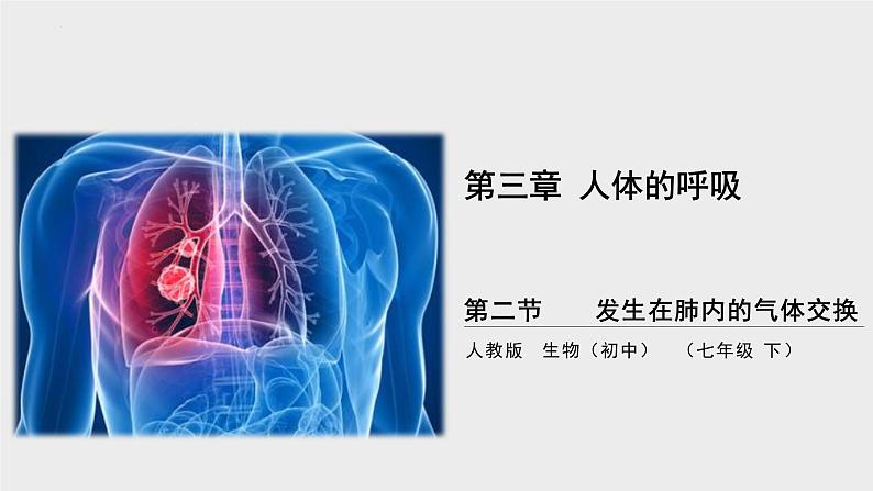4.3.2发生在肺内的气体交换第2课时课件第3页