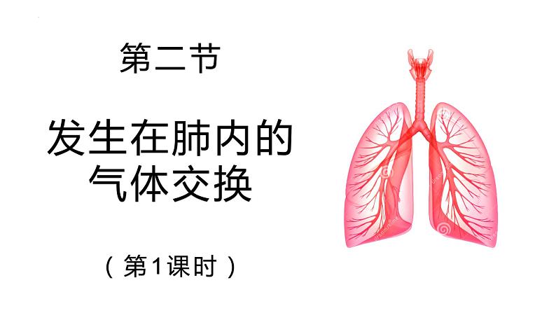 4.3.2发生在肺内的气体交换课件02