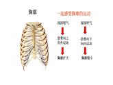 4.3.2发生在肺内的气体交换课件