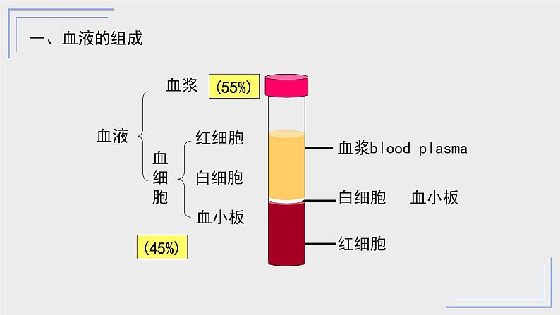 4.4.1流动的组织—血液课件07