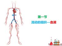 生物七年级下册第一节 流动的组织──血液精品课件ppt