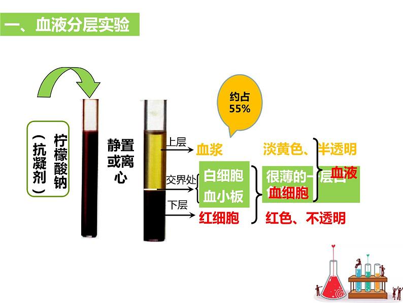 4.4.1流动的组织——血液课件03