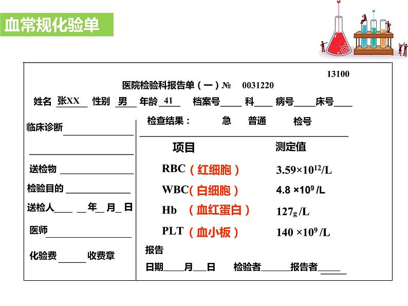 4.4.1流动的组织——血液课件04