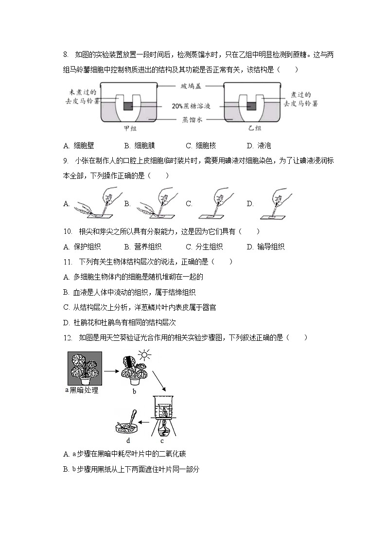河南省新乡市卫辉市2022-2023学年七年级上学期期末生物试卷（含答案）02
