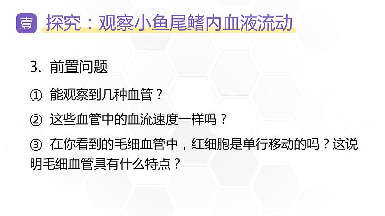 新人教版（新课标）生物七下：4.2《血流的管道——血管》课件+教案07