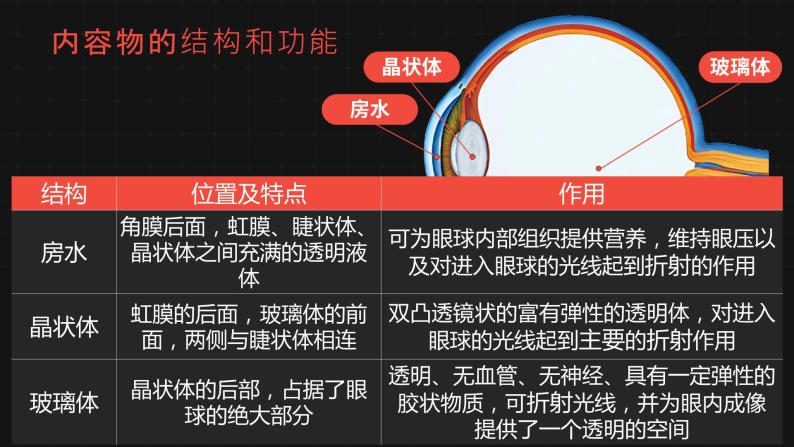 新人教版（新课标）生物七下：6.1《人体对外界环境的感知》课件+教案08