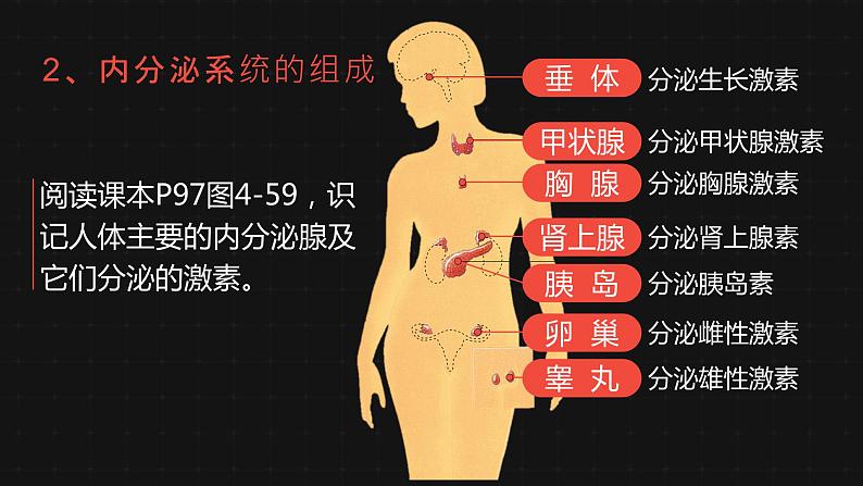 6.4 激素调节-课件第5页