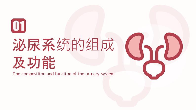 新人教版（新课标）生物七下：第五章《人体内废物的排出》课件+教案03